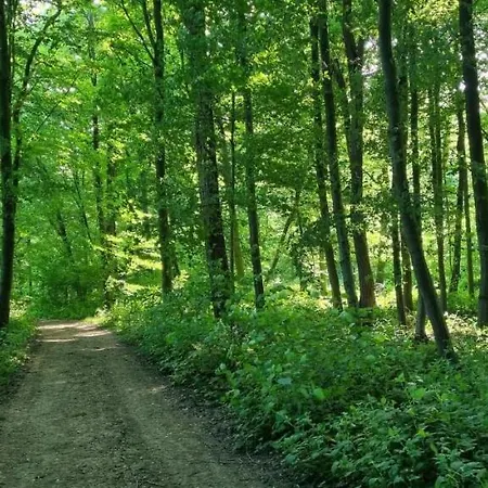 Les Vieilles Pierres D'hotes Bed & Breakfast Ognon