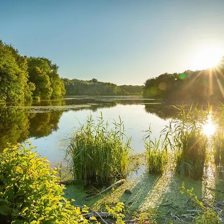 Les Vieilles Pierres D'hotes Bed & Breakfast 3*