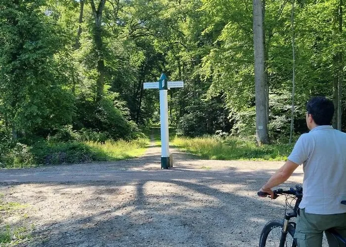 Les Vieilles Pierres D'hôtes Ognon